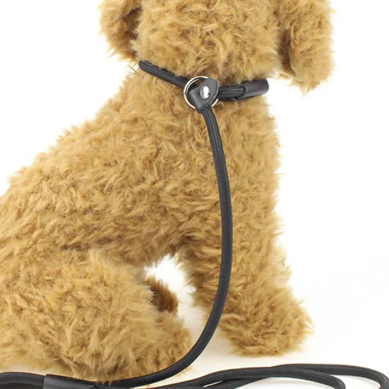 140cm Length 0.6/0.8/1.0cm Diameter Nylon Dog Leash Rolled Round Strong Slip Dog Lead Collar Pet Training Rope Correa Perro 10E