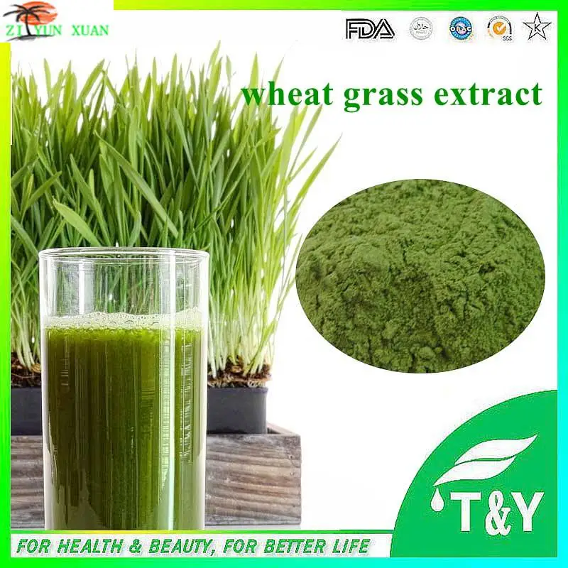 Factory supply 100% Nature wheat grass powder | Продукты