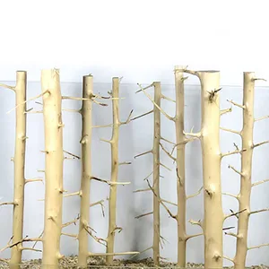 Shenmu лес Ландшафтный аквариум трава цилиндр гостиная украшение игла дерево опухоль дерево шип дерево