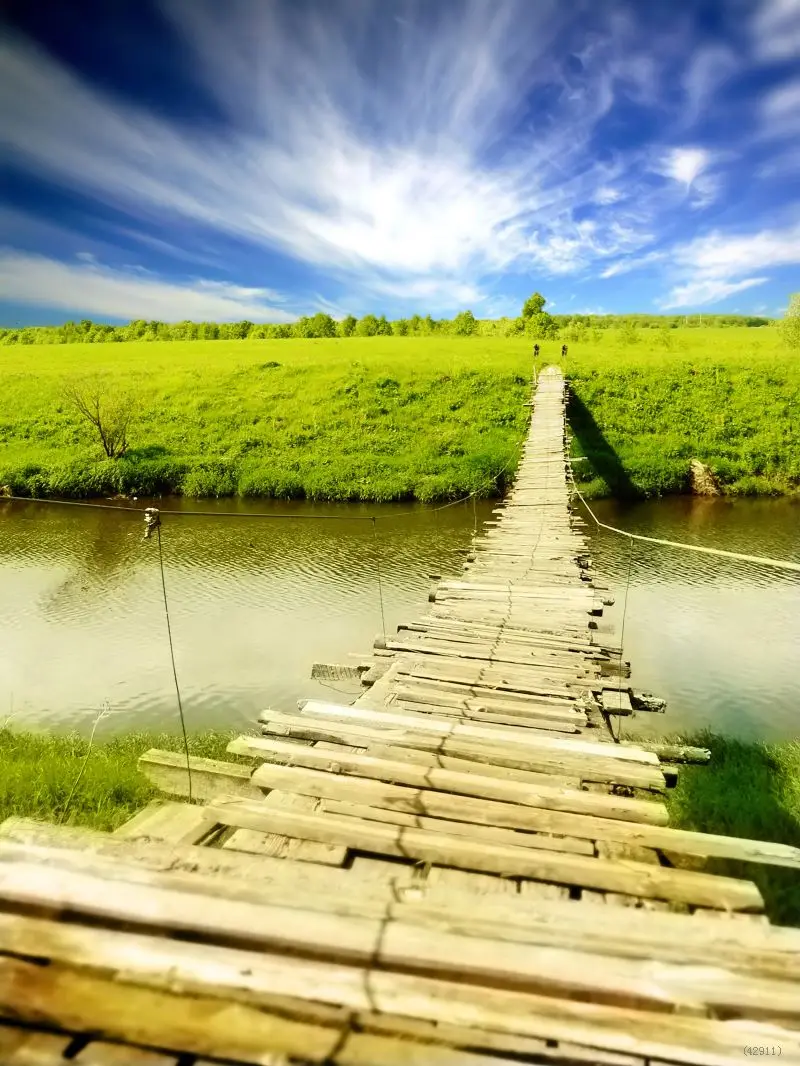 Sunshine Wooden Bridge River Green Spring Vinly background for photo studio photography backdrops fabric | Электроника