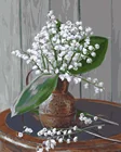 Mahuaf-i540 Ландыши цветы Сделай сам картины маслом по номерам на холсте ручная роспись холст картины маслом для гостиной номер