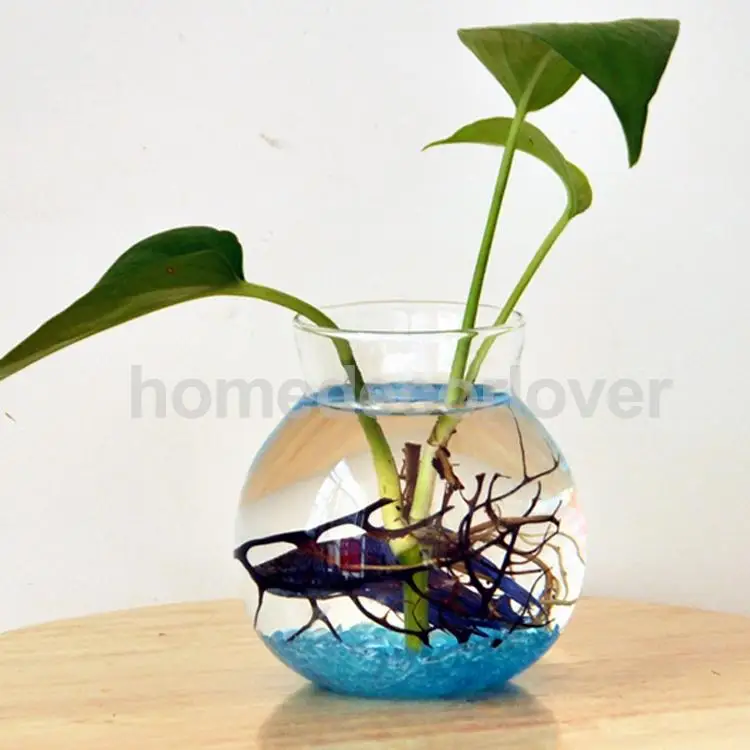 Прозрачный стеклянный круглый цветочный горшок ваза Террариум контейнер