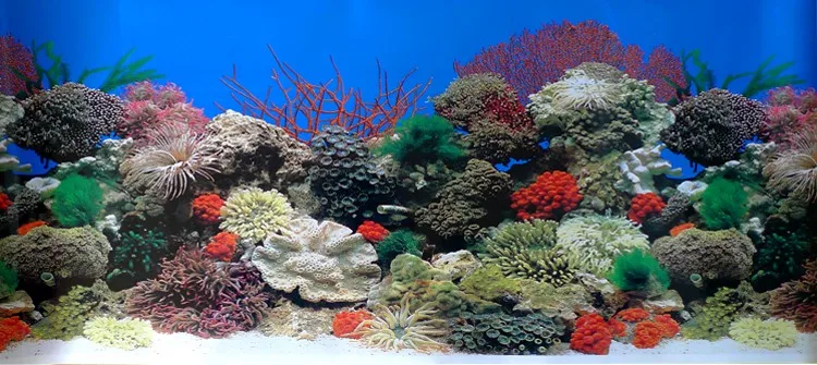 Не-самоклеющиеся высота 30 см аксессуары аквариума украшения фона водонепроницаемый стикер рок обои