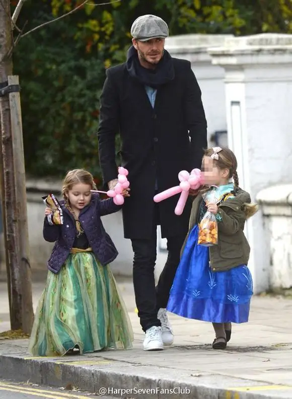 2016 платье Анны костюм принцессы для девочек детские праздвечерние чные платья