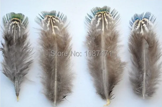 50 шт 4-7 см натуральный зеленый цвет полосы перья из хвоста фазана для ювелирных