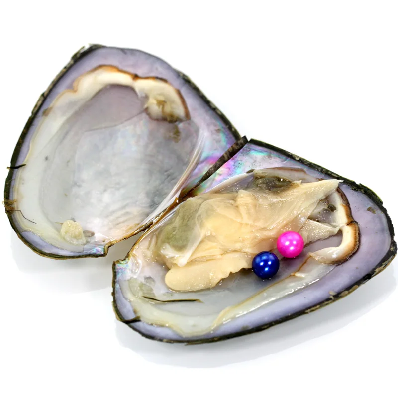 Высокое качество дешевые любовь пресноводная раковина жемчуг Oyster 10 жемчужины 6 7