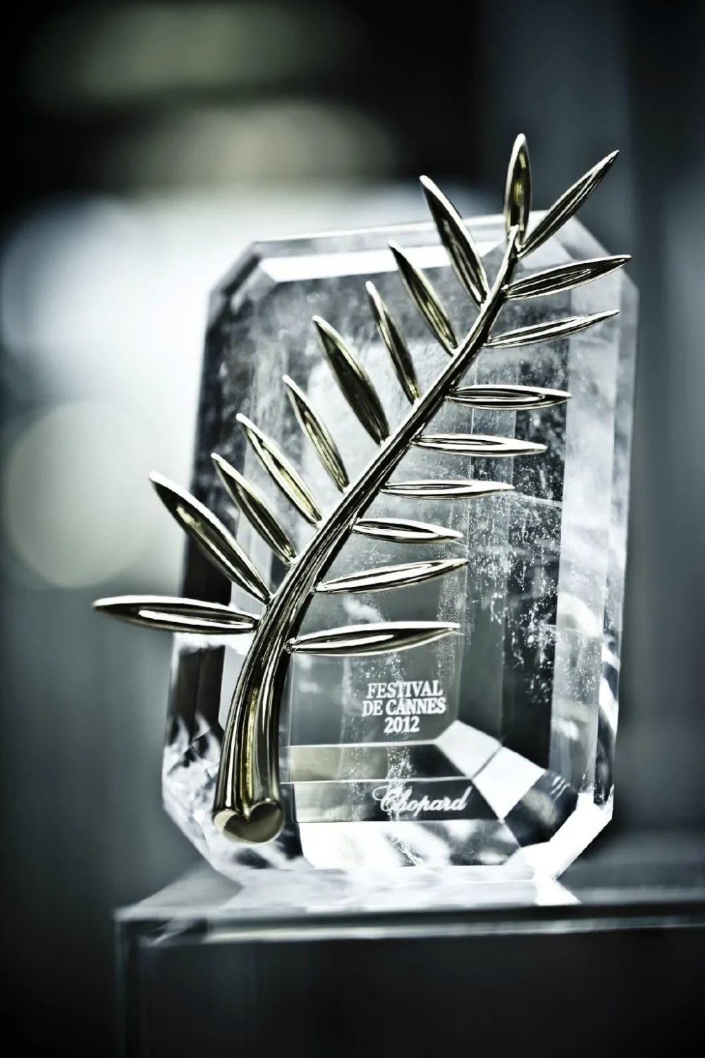 Приз. За кинофестиваль в Каннах приз золотистого пальма копия фотографий|trophy