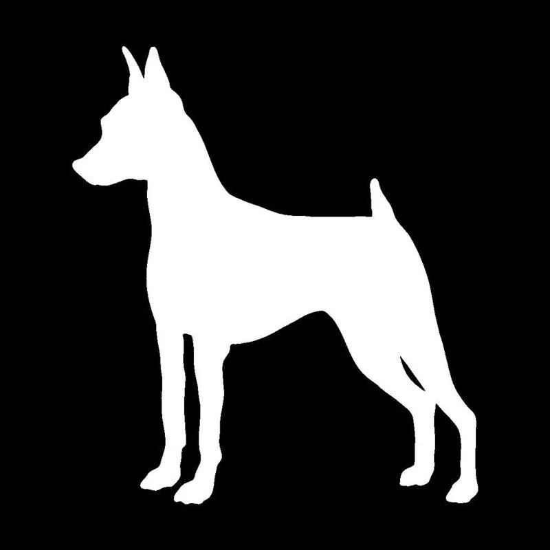 Миниатюрные Pinscher автомобильные наклейки с собаками 11 2*12 7 см креативная