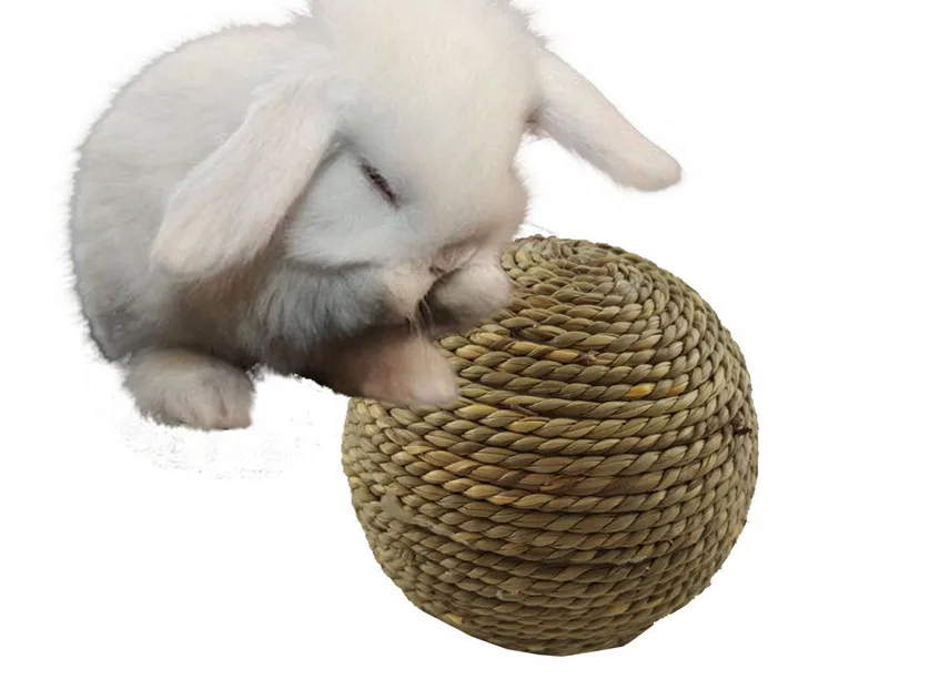 Игрушка-попугай для домашних животных 10 см | Дом и сад