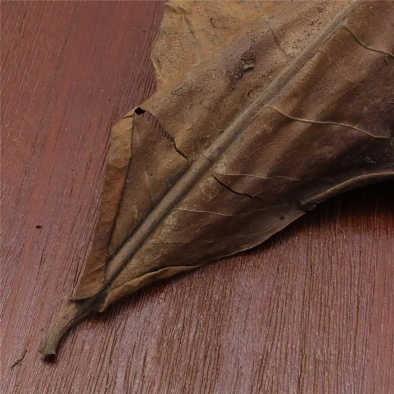 Резервуар для очистки и лечения рыб 50 шт.|Углеродное оборудование| |