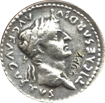 Копия монет в стиле колоний США | Дом и сад