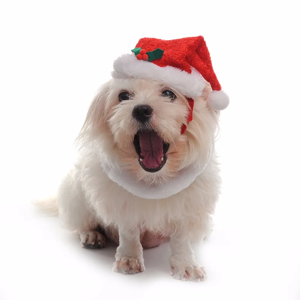 Новинка 2 шт./компл. Рождественская шапка и ошейник для домашних питомцев с