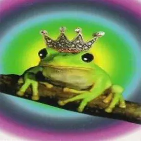 Лягушка стать принцем-карточка волшебство иллюзии карточные фокусы сценическая