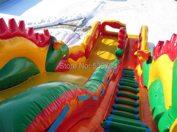 (China Guangzhou) inflatable slides Castle Long slide CHA-111 | Slides