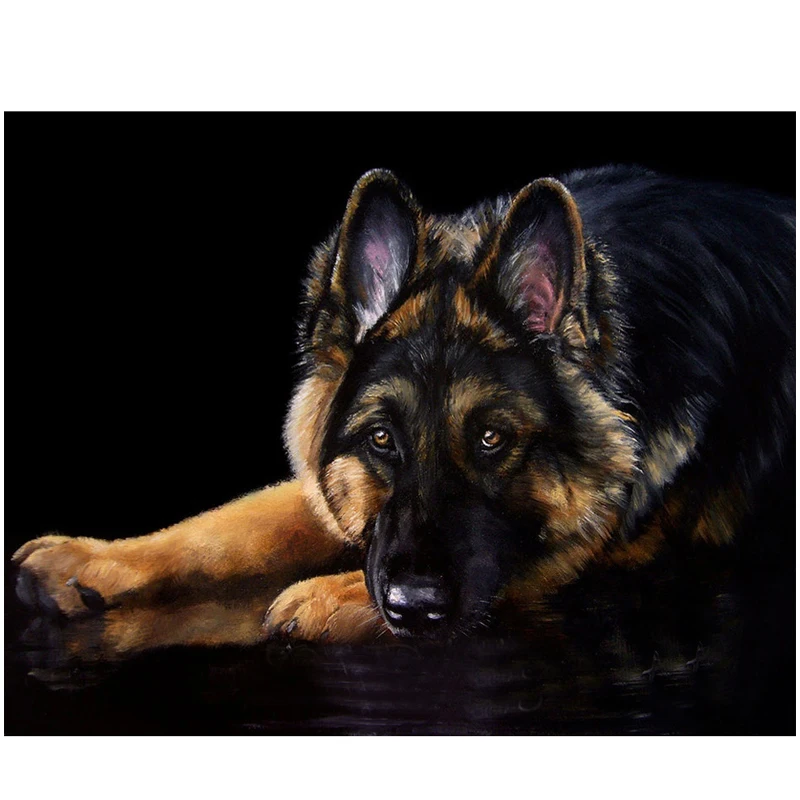 

5D Diy Diamond Painting Cross Stitch Full Square Round Animals Shepherd Dog Pictures By Numbers Embroidery Wall StickersZP-445