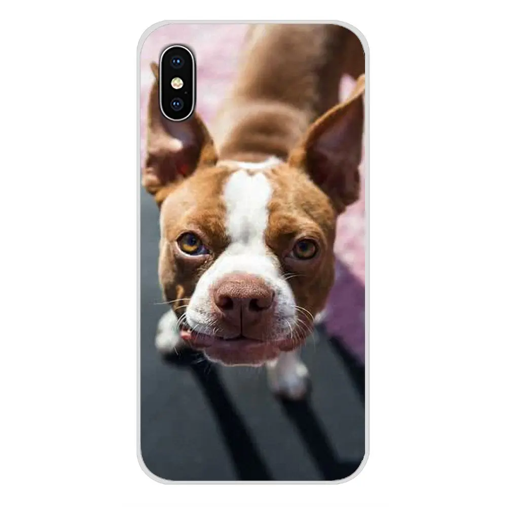 Аксессуары для одежды с изображением милой собаки чехлы телефонов Apple iPhone X XR XS MAX 4