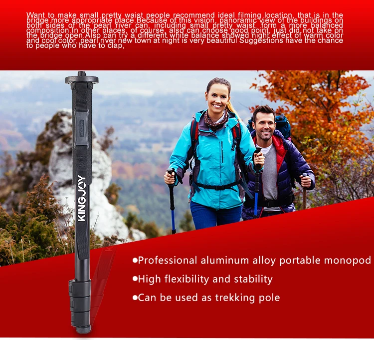 KINGJOY Officia MP208F монопод Dslr для всех моделей профессиональной камеры штатив Стенд видео Para Movil Гибкий штатив