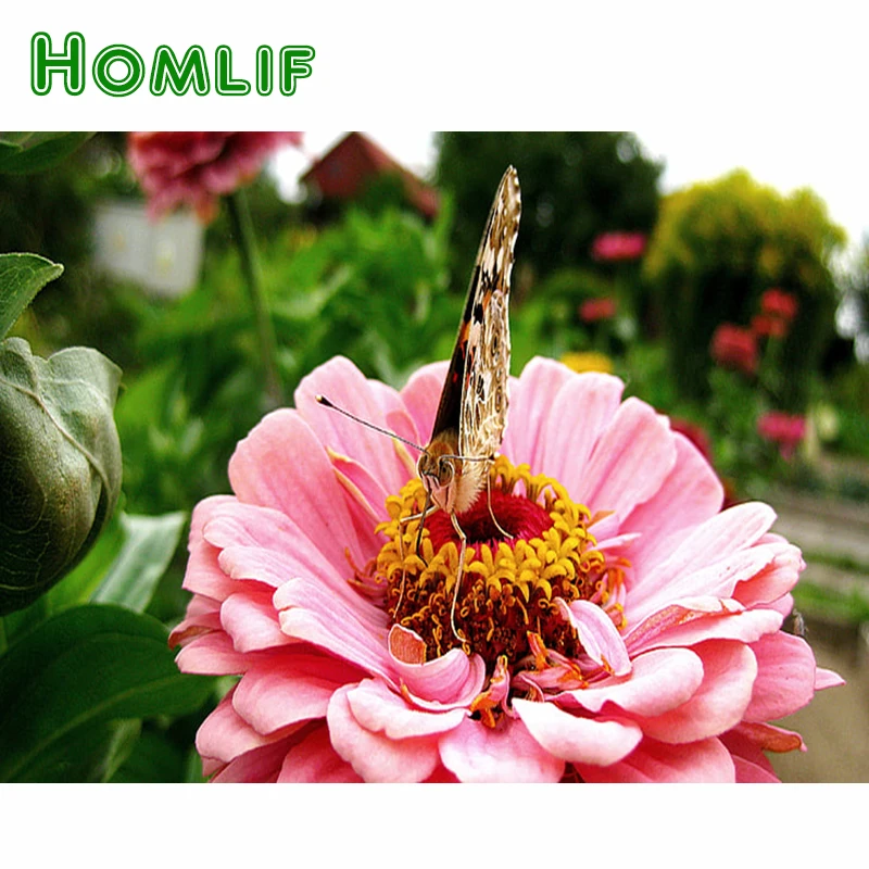 HOMLIF 3d полноразмерная Алмазная картина рандомная розовые красные цветы бабочки