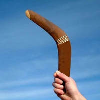 v shaped boomerang flying disc wooden kangaroo pattern throw catch outdoor game edf88