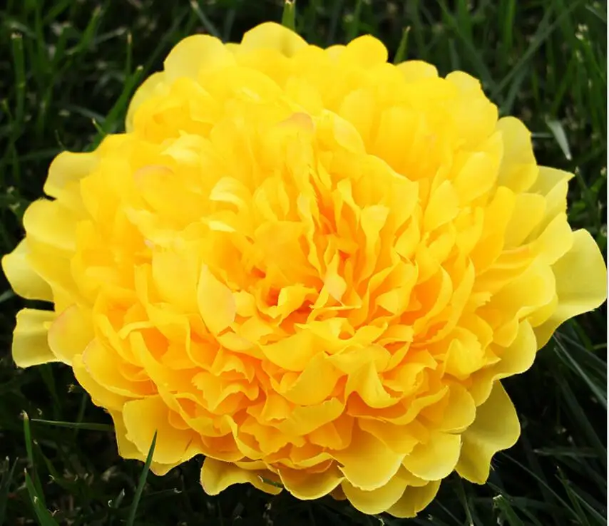 yellow 5 шт., эмуляция головы цветка, большие шелковые пионы, 18 см диаметр, украшение для головы цветка, аксессуары, свадебное украшение - Цвет: yellow