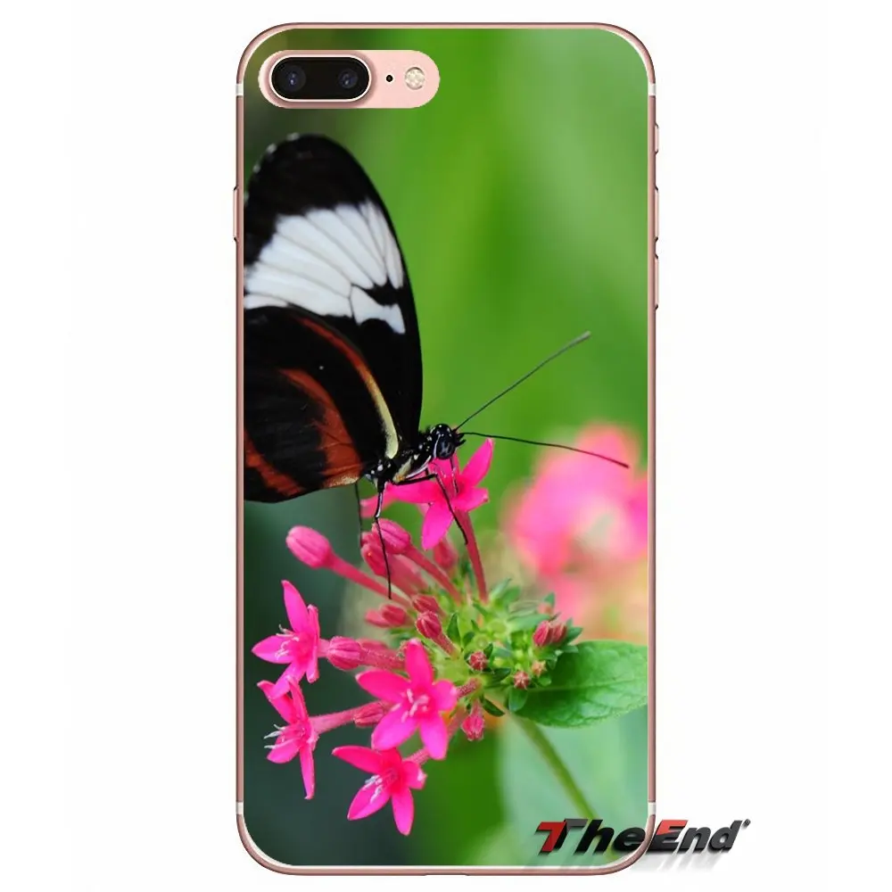 For Samsung Galaxy S2 S3 S4 S5 MINI S6 S7 edge S8 Plus Note 2 3 4 5 Grand Core Prime Amazing butterfly pattern ultra thin case | Мобильные