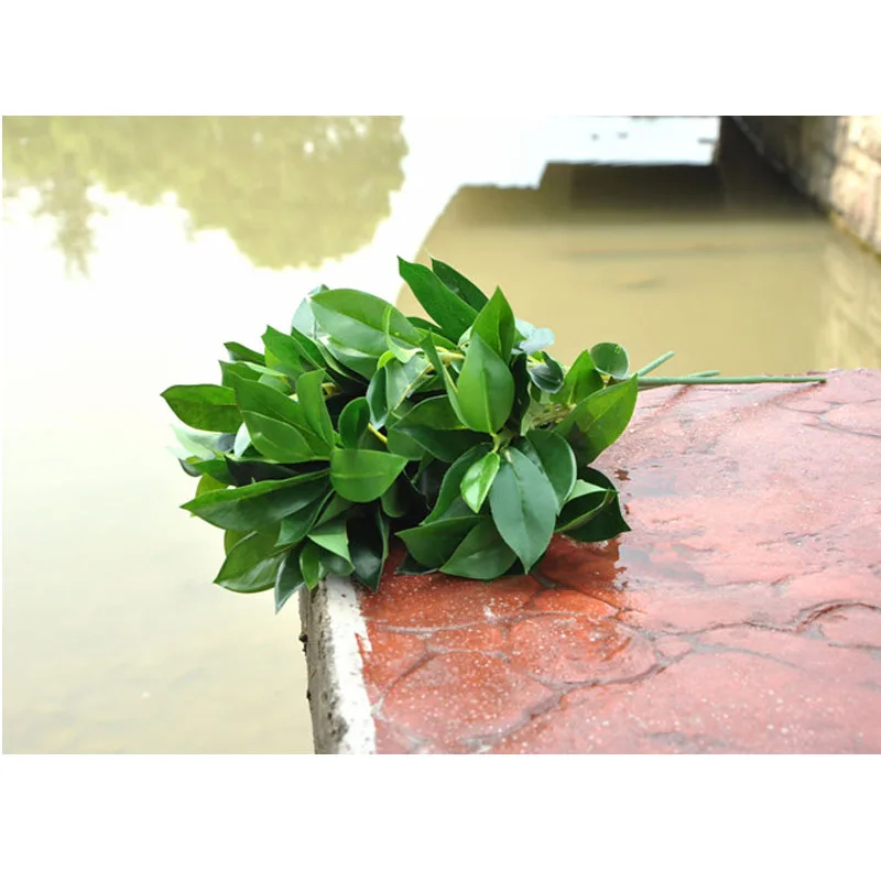 

48 leaves large leaf Lucky Green plants for home artificial small potted plants