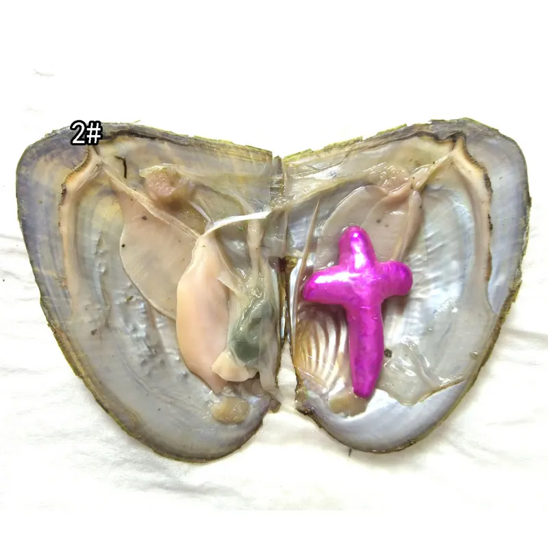 20pcs AA+ Single 15-40mm Hot Pink Natural Baroque Shaped Cross Pearl with Vacuum Packed Oyster Fresh Pearl in Oyster