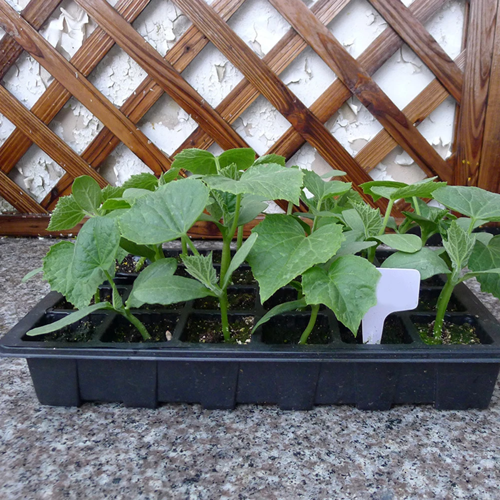 24 ячейки семена растений растут питомник лоток для горшков Овощной горшок