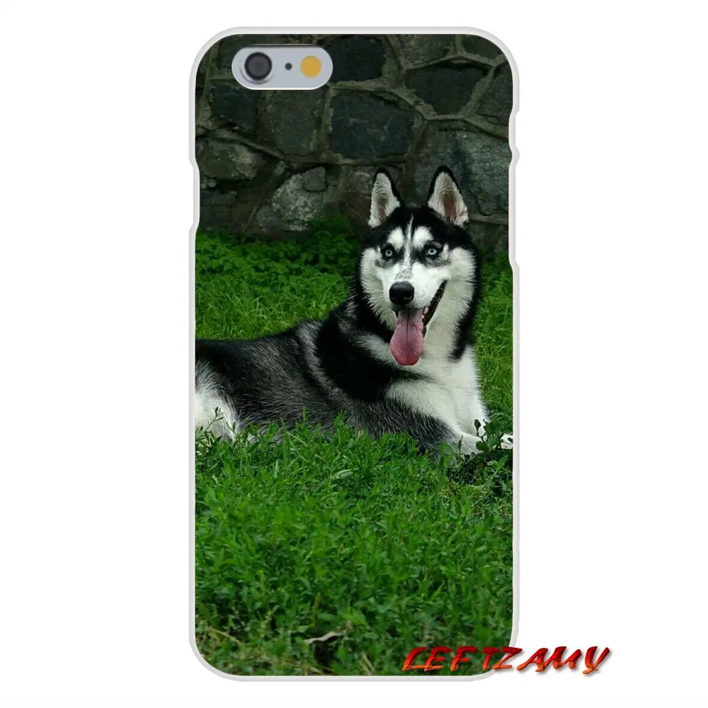 Прозрачный мягкий чехол для телефона Alaskan Malamute Siberian husky dog Sony Xperia Z Z1 Z2 Z3 Z4 Z5 compact M2 M4