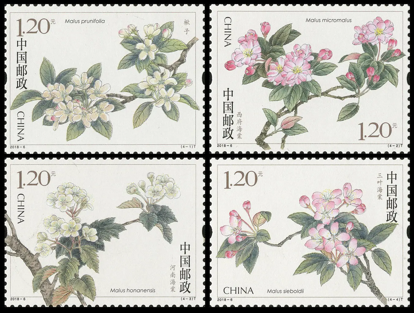 Новый китайский почтовый штамп 2018 6 китайское цветение Crabapple бегония цветы 4 шт