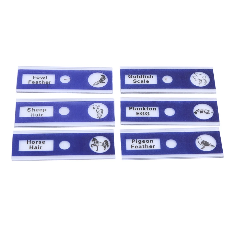 12 шт./компл. животные насекомые цветы растения образец дети студент Обучающие