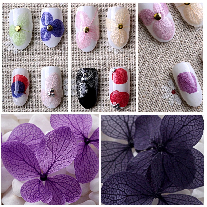 12 цветов/коробка 3D настоящий сухой цветок горный хрусталь коробка для хранения