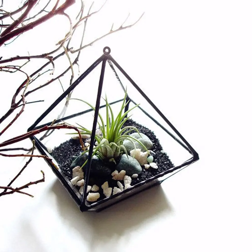 New Hot Decorative DIY Glass Terrarium Fairy Miniature Garden Greenhouse Vase Bottle for Plant Flower Container Gifts | Дом и сад