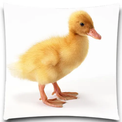 Три желтые утка и большая белая шаблон квадратная наволочка хлопок полиэстер 16