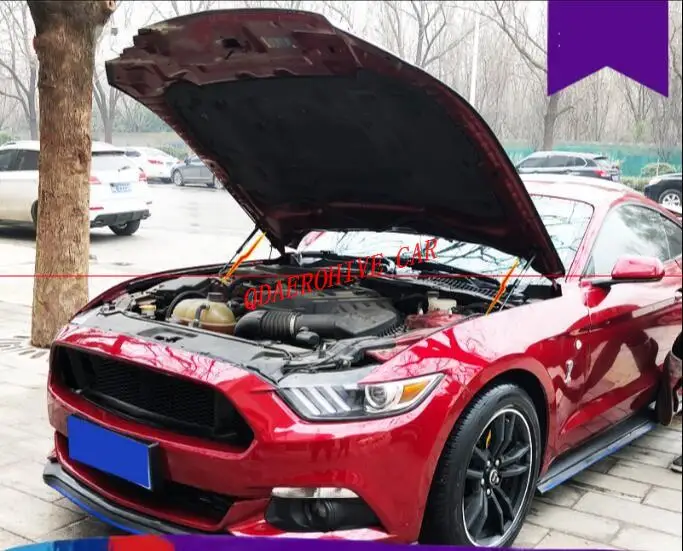 

QDAEROHIVE car hood reuses gas spring support rod Slow Down Shock Gas Strut for Ford Mustang 2015 2016 2017 2018 2019