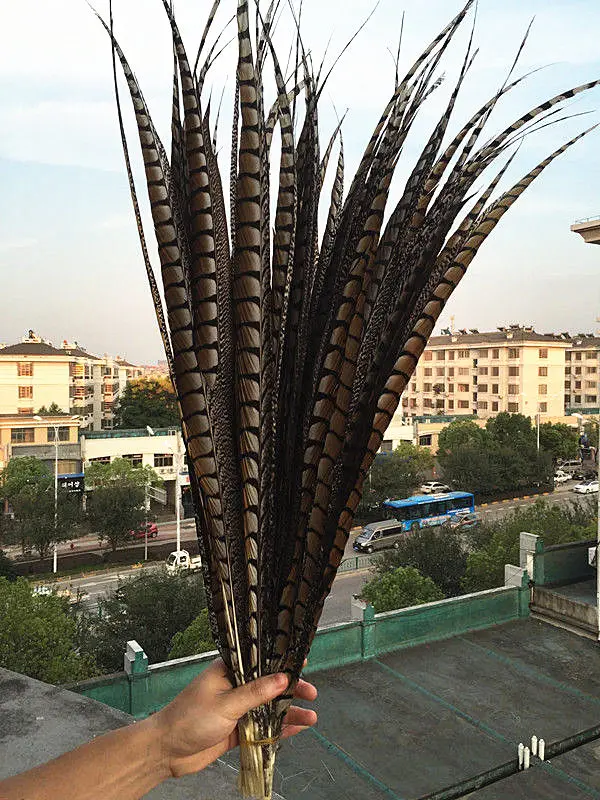 10 шт. высококачественные оригинальные натуральные женские перышки Amher pheasant 4-44