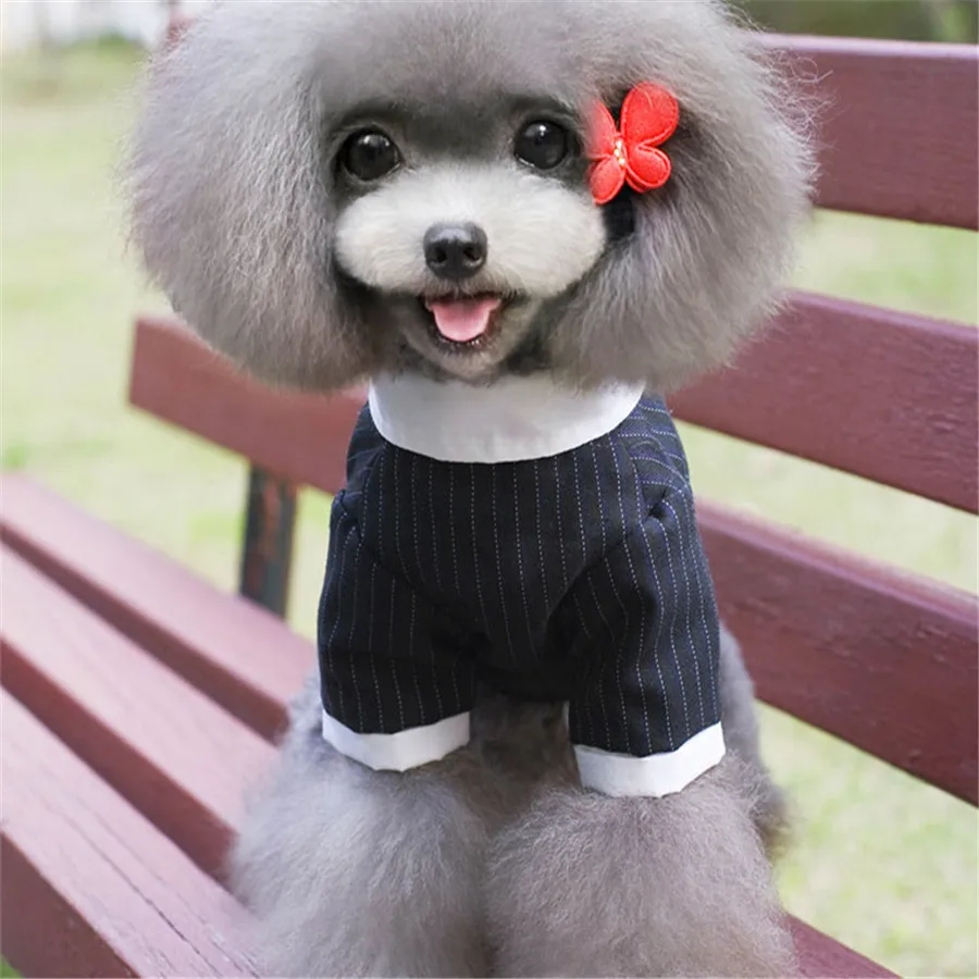 Полосатый костюм большой собаки формальный смокинг Большая одежда для домашних