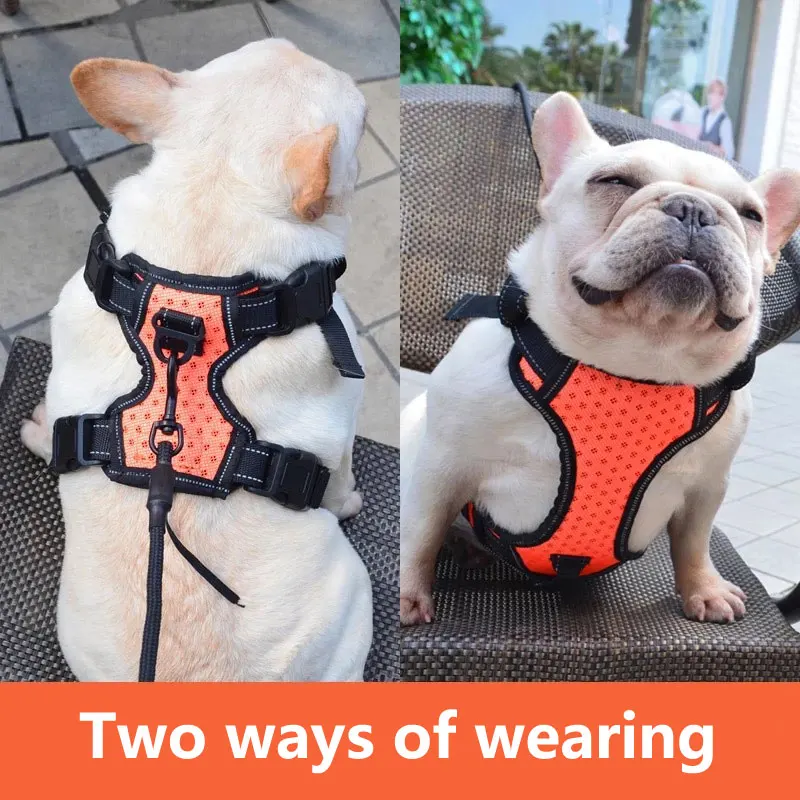 Новинка регулируемый жилет для собак|Портупеи| |