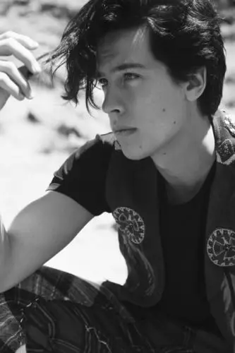 Q2700 Posters and Prints Cole Sprouse New Custom Movie Star Actor 24x36'' Art Poster Canvas Painting Home Decor Дом и сад