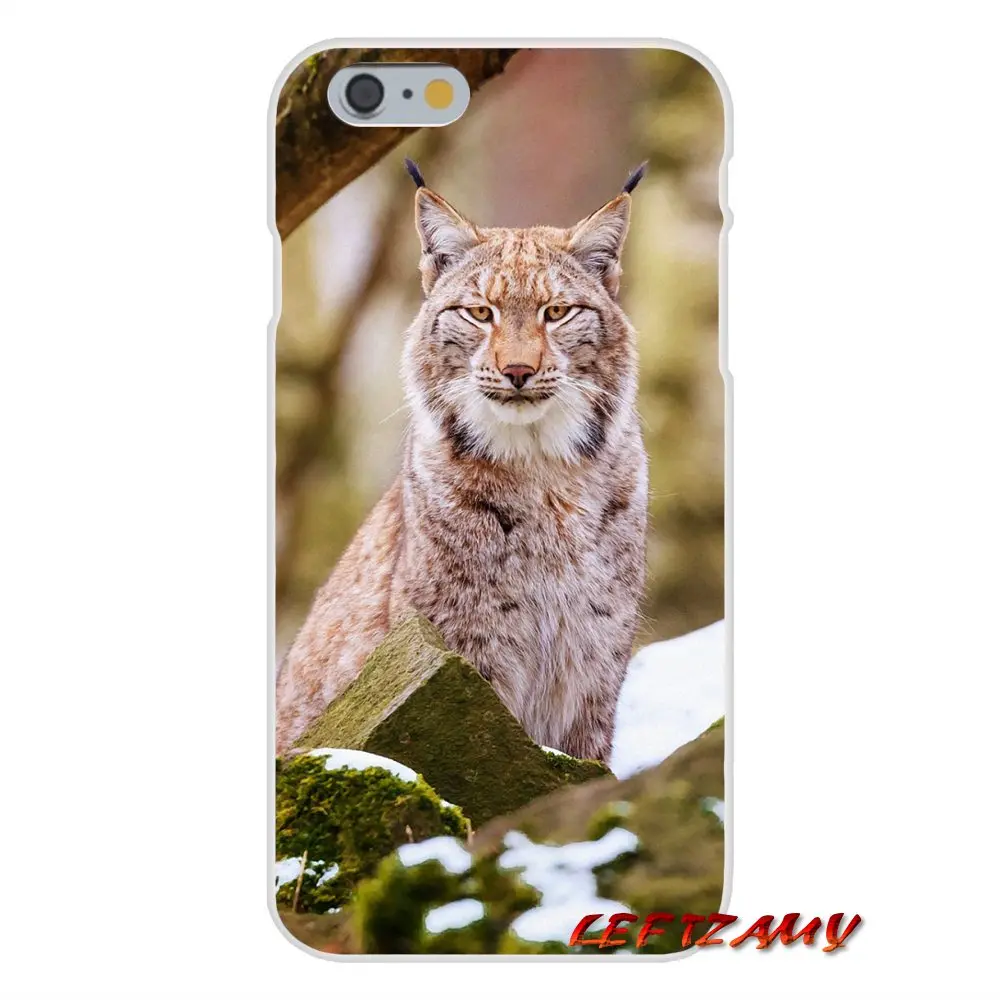 Для Samsung Galaxy S3 S4 S5 MINI S6 S7 edge S8 S9 Plus Note 2 3 4 5 8 Lynx Caracals аксессуары для котенка Чехлы