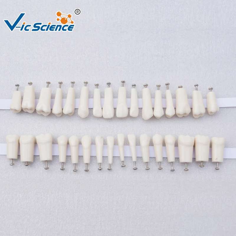 Производство сменных зубцов для замены модели nissin|teeth|teeth replacementteeth model |