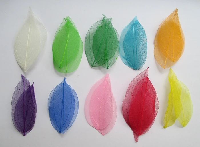 800pcs Multicolor optional Natural skeleton leaves for DIY Scrapbook wedding accessories 3-7cm 014005014 | Дом и сад