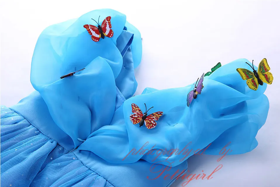 Pettigirl/синие нарядные платья Золушки для маленьких девочек принцессы Эльзы с