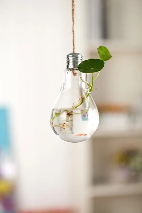 Лампочка ваза гидропоники стеклянной творческая личность зеленый укроп бутылка