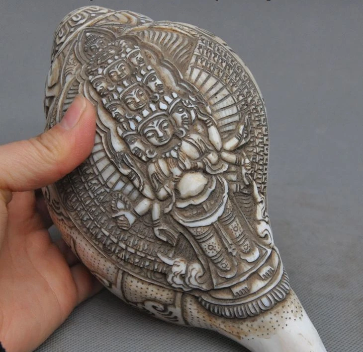 7 &quotРедкий Старый тибетский буддизм раковины авалокитесвара Гуаньинь ракушка