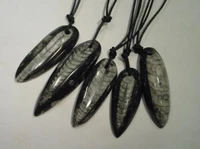 orthoceras nautiloid fossil 1 12 2 pendants necklaces