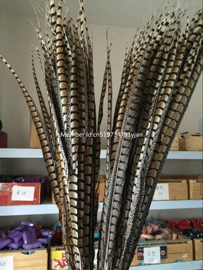 

50pcs / 32-36 inch 80-90 carnival party decoration centimeters white belly pheasant pheasant feathers natural tail feathers