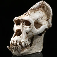 mrzoot gorilla skull resin craft skeleton halloween personalized decoration home ornament medical teaching
