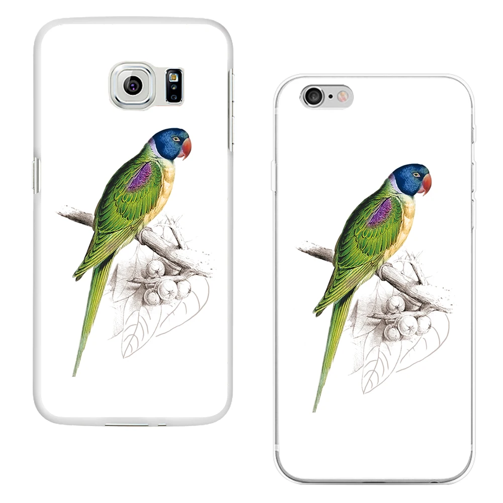 Милый Попугай телефон защитный чехол Крышка для iPhone 6 7 Samsung Galaxy S6 S7|cover for iphone|case