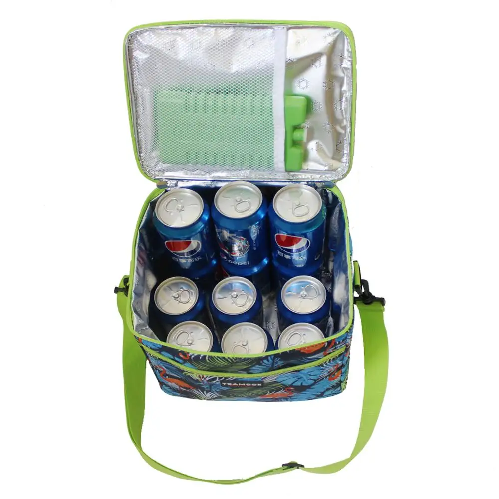 Портативная Изолированная оксфордская большая сумка для ланча с изображением